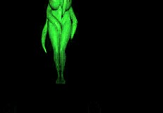 Anime Sacrifice in Lewd Ruins