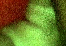 I Suck His White Dick So Deliciously!