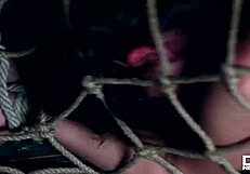 Watch The Realtor And Client Dp Kristy Black Hard