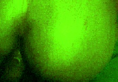 Fucked on All Fours, My Favorite