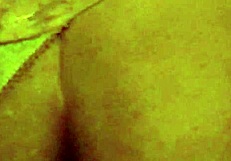 Fucked on All Fours, My Favorite