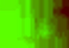 Fucked on All Fours, My Favorite