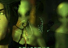 Summers Gone 73: A Provocative Game Experience?