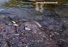 Brunette latina exhibitionist bathes in river with natural tits exposed and touches nipples