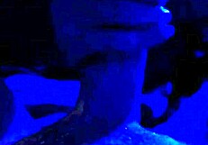 rawdog sloppy dog is what babydoll lives for, with bareback squirting.