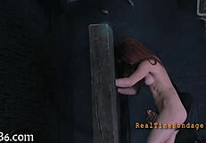 She's bound in tight bondage for intense play