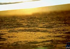 四个女同性恋女友在阳光海滩上挑逗