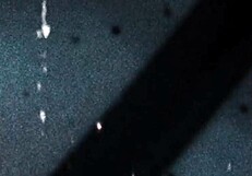 tgirls xxx diamond dixon back with big tits handjob