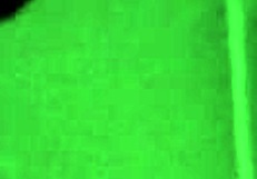 Gay Man Boldly Sucks Cock Through Gloryhole