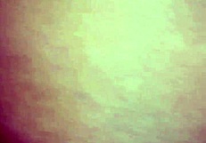 A Mature Friend Stays At The Hotel, Sharing Stories And Experiences.