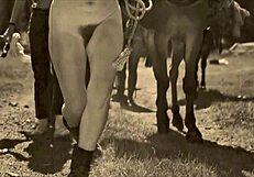 Dark Lantern Entertainment Unveils Beauty and the Beast Retro Tale