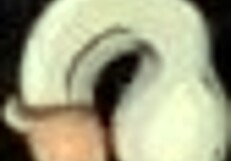 Fuckerman part 5 features bimbo with big tits in sex gym