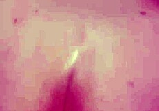 she begged me to bang her big tits and ass