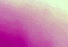 Amateur takes sexy selfie.