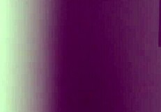 Jennifer Far, the sexy Latina, gets wild