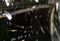 Compilation of Mya’s daring outdoor escapades with a big cock and a happy ending