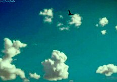 Princess Bubblegum Fucked in Park for Chocolate Bar