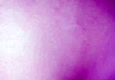 Amateur Couple Fucking: Blonde Babe Starts With Blowjob, Switches To Cowgirl Riding, Intense Fucking, Climaxes With Cumshot.