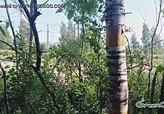 Quick blowjob in the woods behind parking lot