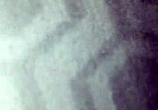 Ebony pussy eaten before bed