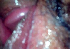 i met my big butterfly girlfriend and we talked in hd