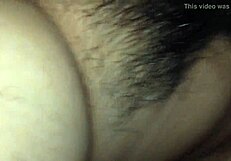 i met my big butterfly girlfriend and we talked in hd