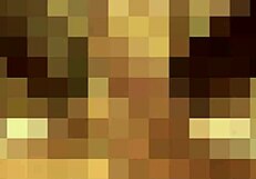 Can I Slide My Shemale Cock Deep Into Your Tight Ass?