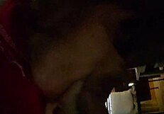 Gay blowjob and gaycum swallow with a big cock
