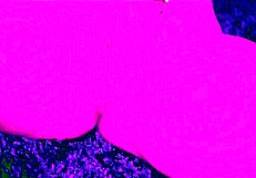 The sexiest JOI on xvideos – learn how to pleasure yourself