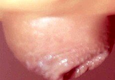 angelica and madison fulfill anal foot fantasies