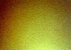 Mexican amateurs fuck in doggystyle bent over