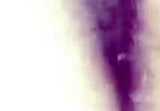 explosive linda getting cojida!