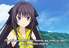 what's the deal with fanzervicas in anime?