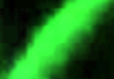 Sucking that monster cock! 😍