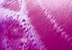 Washing the car with bobbi barrington and rebecca lord