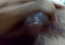 bull taking old wife's place