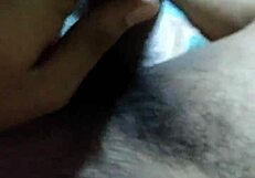 bull taking old wife's place