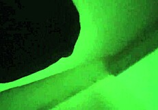 Feeling The Passion With Mature BBW Sexobjekt