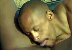 Black Tushy Pink Pussy Volume 5 Scene 12 Features Anal And Blowjob Action.