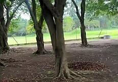 novinho finds huge black cock in woods!