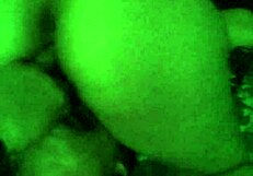 I like to lick my sister's pussy and she likes it too