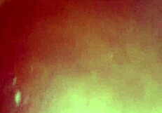 Sexo amador teasing your desires