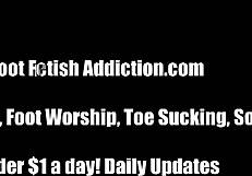 Kneel to worship goddess feet