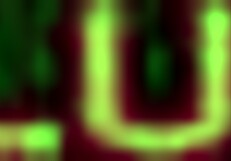 Martina gold and emy russo get assholes ripped by ian scott's big dick