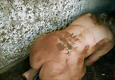 My Latina Friend Turns Zombie, I Teach Her Bedroom Tricks