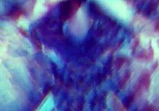 i love being a whore on all fours for fat cocks