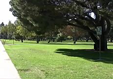 Hot step mom india summer gets facial cumshot after blowjob