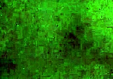 Sally Marz Loves To Suck Dick!