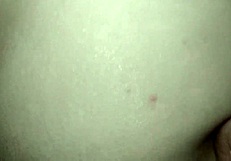 Close-Up Doggystyle Anal With Hairy Brunette