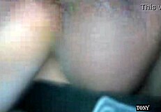 Enjoy my brunette ass riding, compadre, as your valentine's gift from girlfriend to husband.